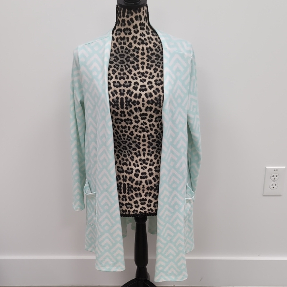 LuLaRoe Mint Chevron Caroline Cardigan